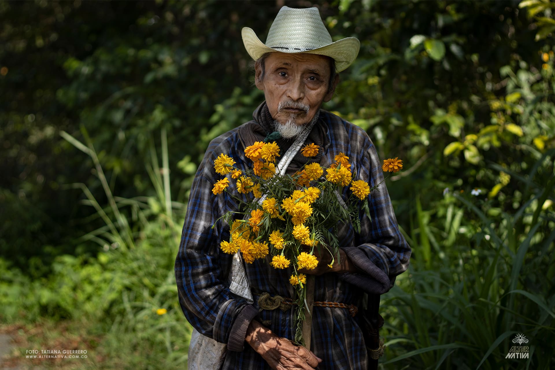 Como florece el Día de Muertos (4)