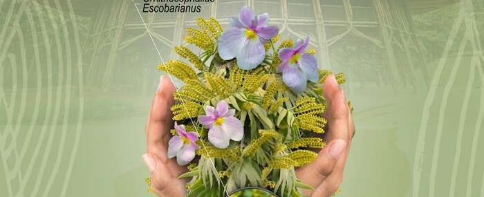 Asociación Caldense de Orquideas