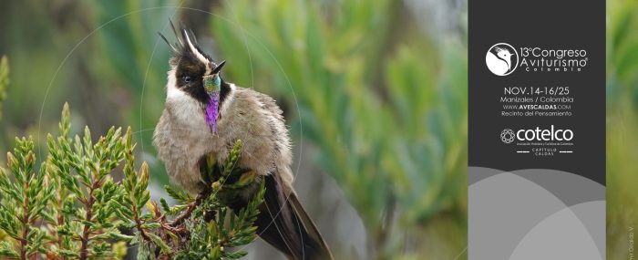 Congreso de aviturismo