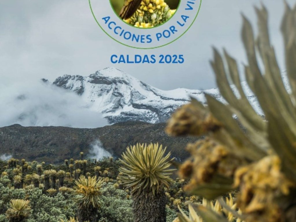 Caldas se moviliza por la vida inicia Acciones por la Vida Caldas 2025 una alianza por el cambio climático Caldas se moviliza por la vida inicia Acciones por la Vida Caldas 2025 una alianza por el cambio climático