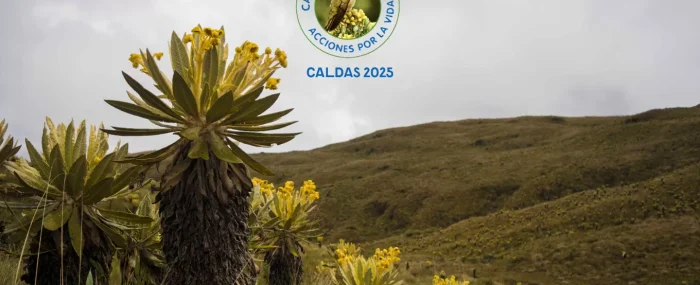 Caldas se moviliza por la vida inicia ‘Acciones por la Vida Caldas 2025’, una alianza por el cambio climático