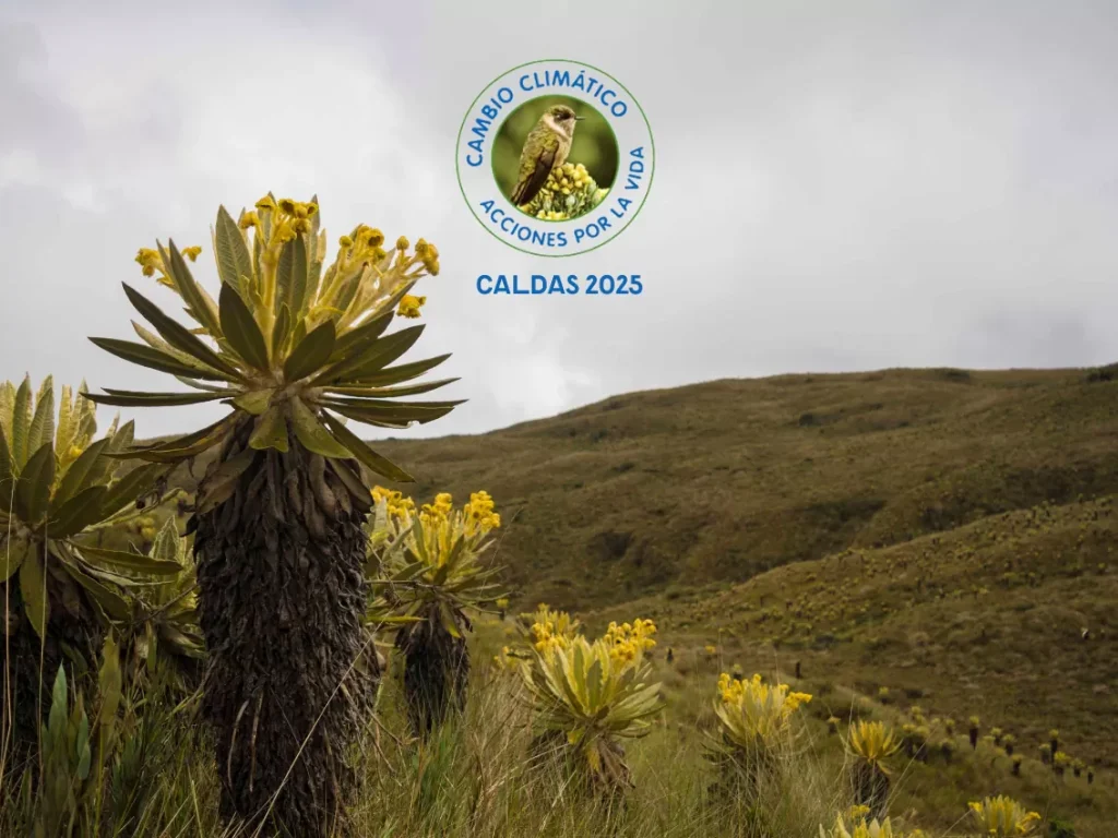 Caldas se moviliza por la vida inicia ‘Acciones por la Vida Caldas 2025’, una alianza por el cambio climático Caldas se moviliza por la vida inicia ‘Acciones por la Vida Caldas 2025’, una alianza por el cambio climático