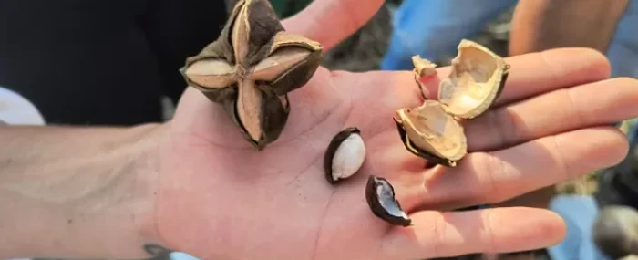 Circuito de saberes populares laboratorios en trueque