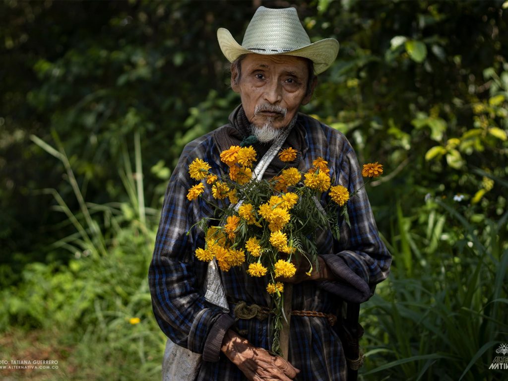 Como florece el Día de Muertos (4)