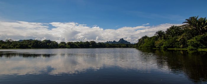 La Charca de Guarinocito un humedal vivo en el oriente caldense (14)