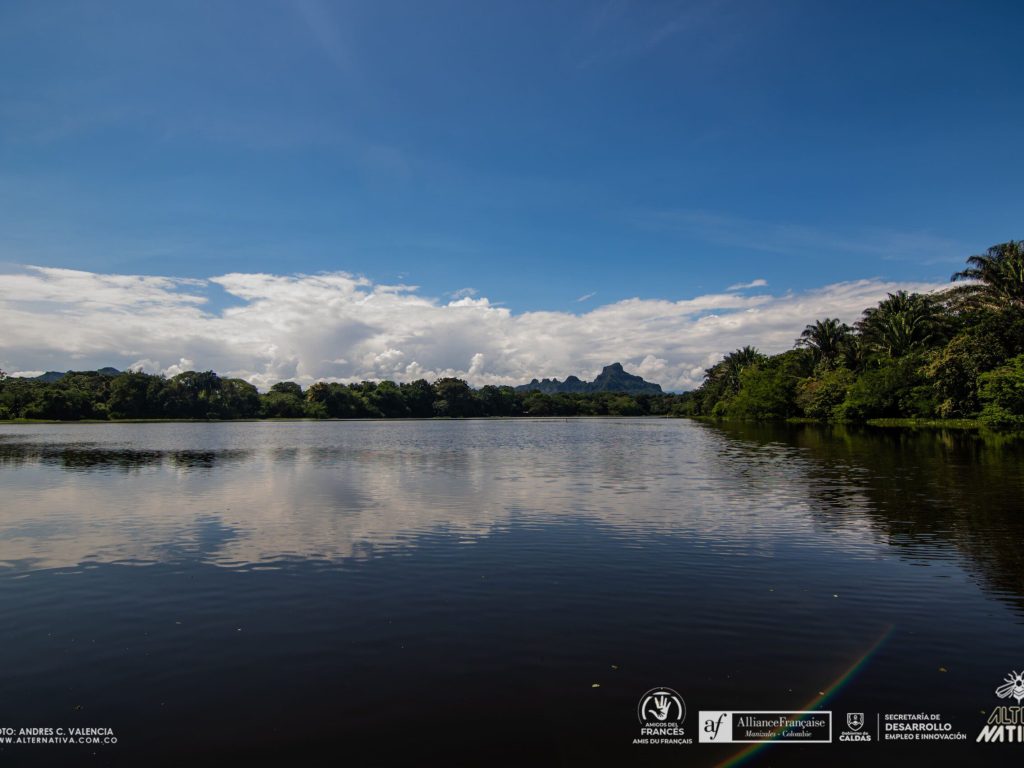 La Charca de Guarinocito un humedal vivo en el oriente caldense (14)