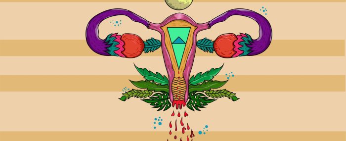 Las hormonas que silencian y la consciencia que da vida (3)