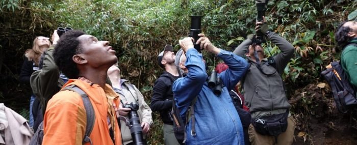 Manizales será el punto de encuentro donde se construye el aviturismo de Colombia (5)