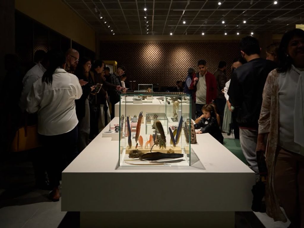 Un museo que dialoga con la montaña (4)