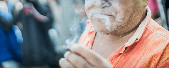 carnaval_cannabico_2015-12