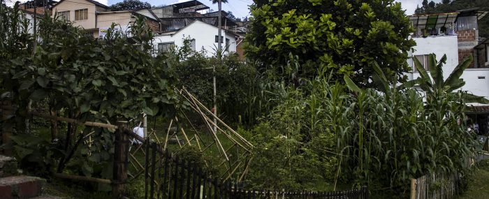 naksi cultivando una ciudad de huertas abiertas (12)