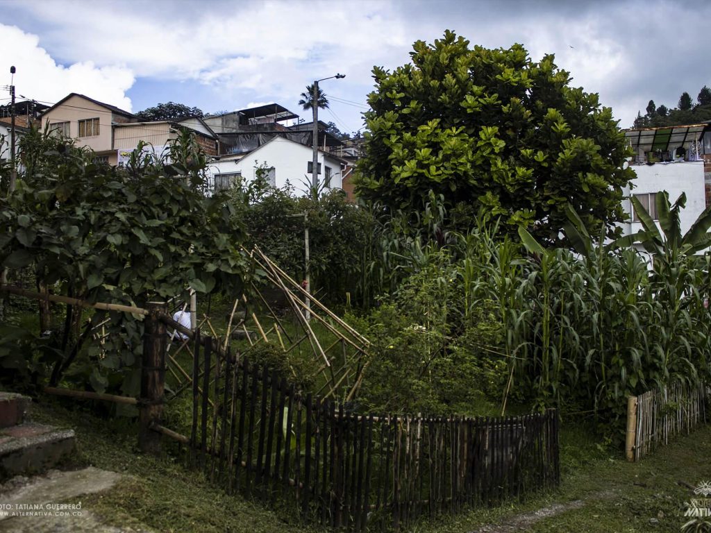 naksi cultivando una ciudad de huertas abiertas (12)