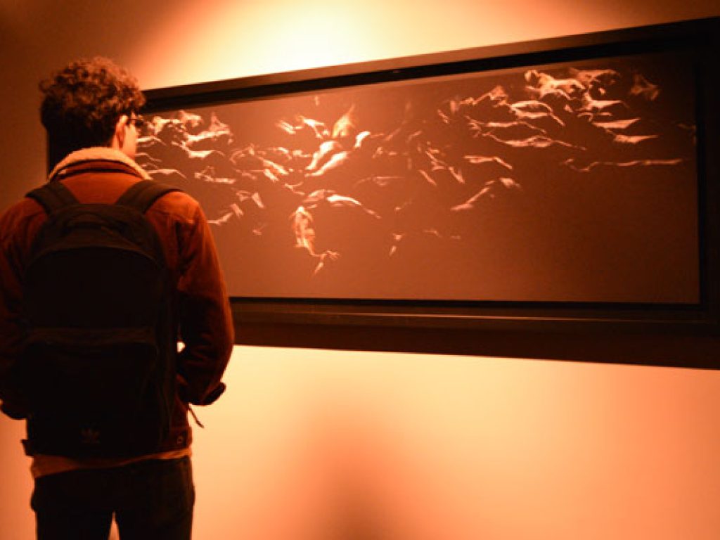 visitante-liminal-640x400